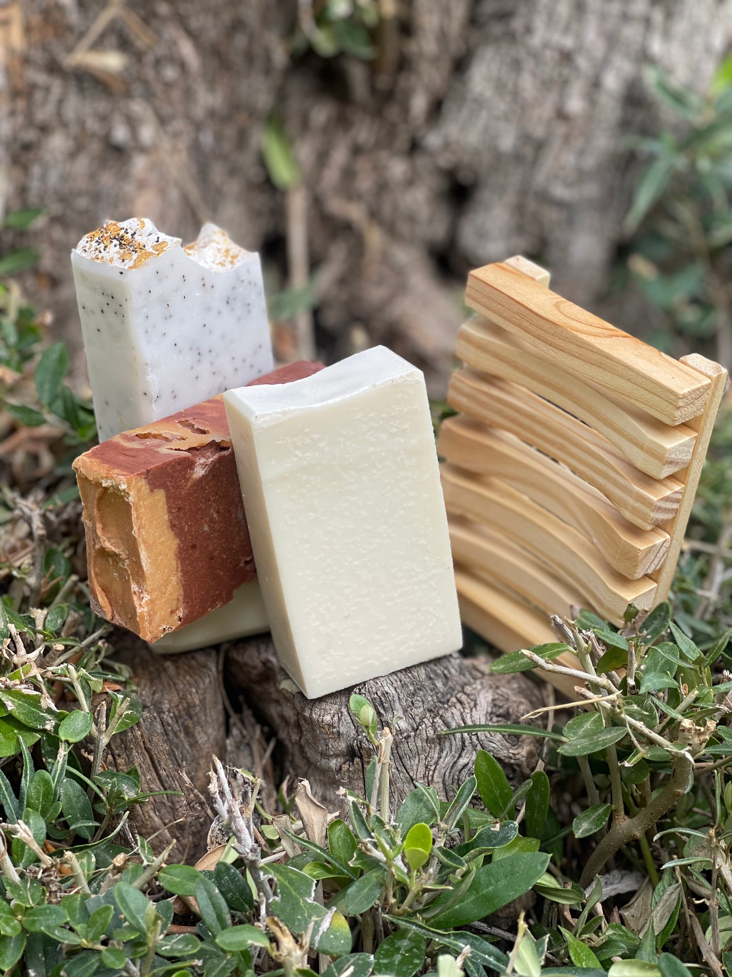 Signature Bundle